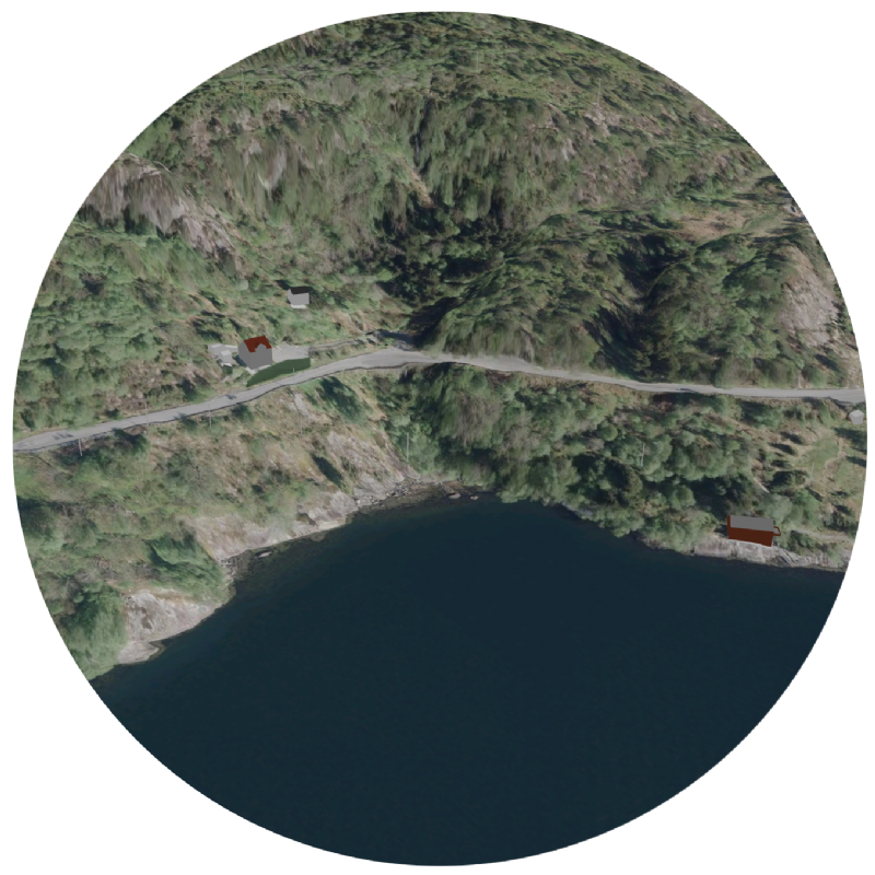 Plommevikane før utbygging